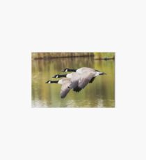 Formation Flying Art Board