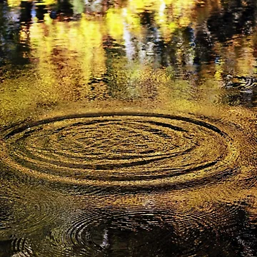 Artwork thumbnail, Reflective Ripple by Catherine Melvin