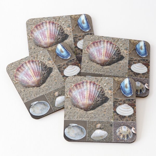 Item preview, shells designed and sold by KathleenDawson.