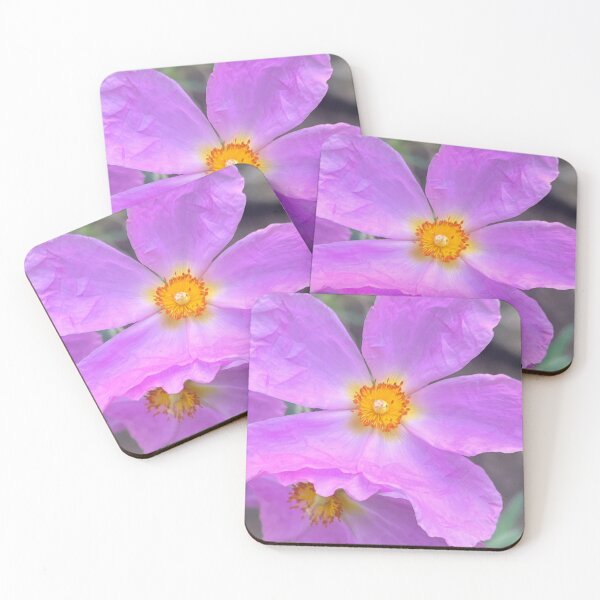 Item preview, Tender Ruffled Lavender Rock Rose  designed and sold by Photomersion.