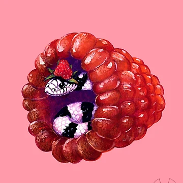 Artwork thumbnail, Snake and Raspberry by RadiantMedia