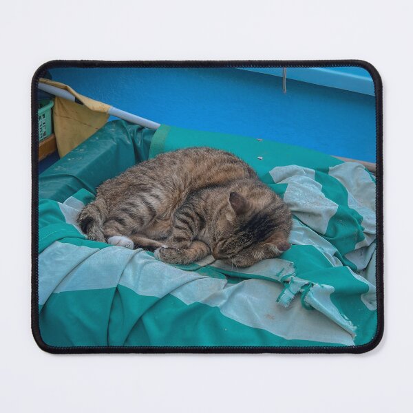 Item preview, Sleeping Cat in a Blue Boat designed and sold by PaulinaS.