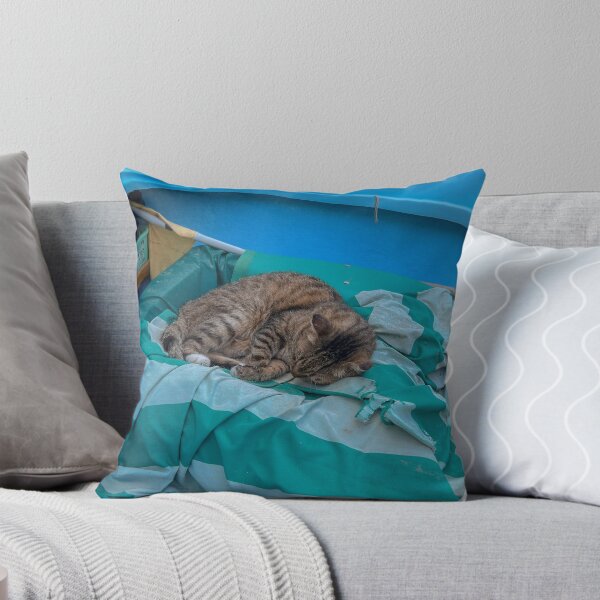 Item preview, Sleeping Cat in a Blue Boat designed and sold by PaulinaS.