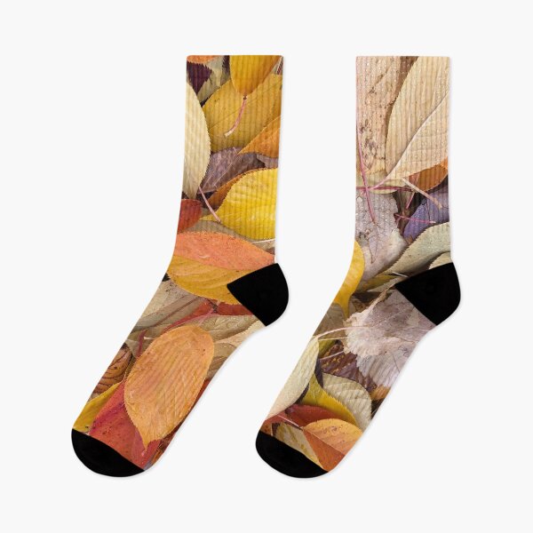 Item preview, Forest Bathing with Fall Leaves  designed and sold by Photomersion.
