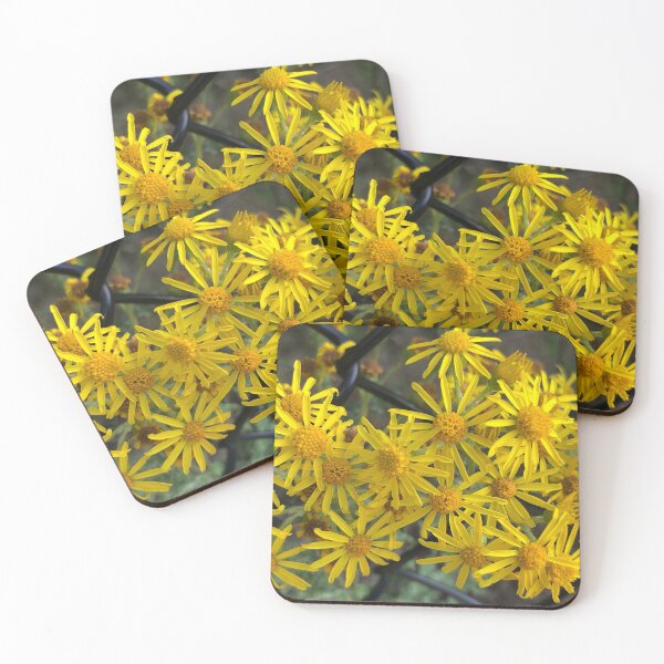 Item preview, Yellow Daisies in Loyal Friendship Despite Obstacles designed and sold by Photomersion.