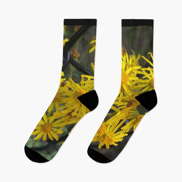 Item preview, Yellow Daisies in Loyal Friendship Despite Obstacles designed and sold by Photomersion.