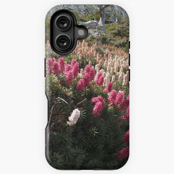 Item preview, Richea scoparia at Mount Field designed and sold by PeterJF.
