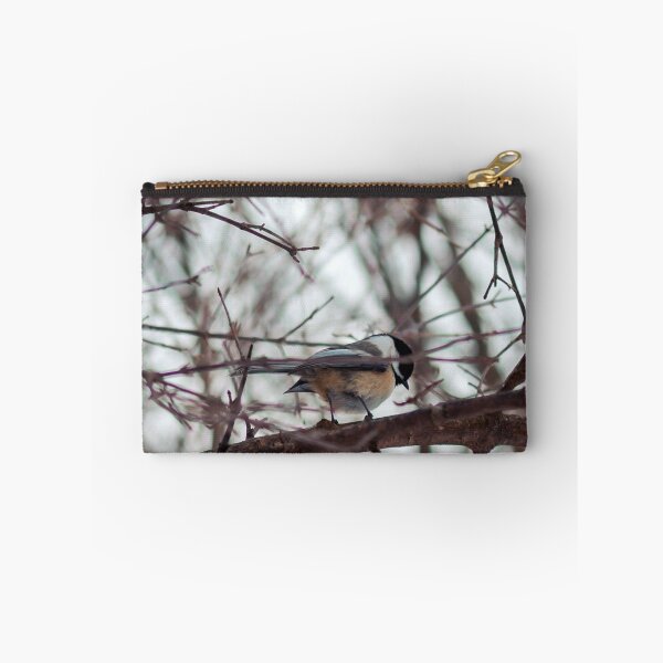 Item preview, Black capped chickadee perched in a tree designed and sold by Michael Deemer.