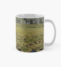Mount Rogoona from narrow open valley Mug