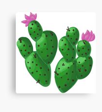 Cactus Beb Canvas Print