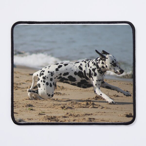 Item preview, Dalmation Dash designed and sold by Ladymoose.