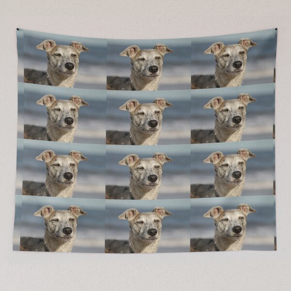 Item preview, Smug designed and sold by Ladymoose.