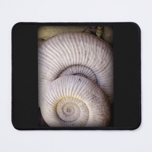 Item preview, Jurassic Fossil designed and sold by Charmiene Maxwell-Batten.