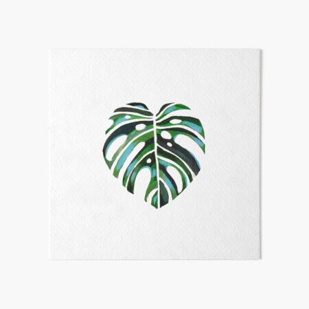 Swiss Cheese Monstera Tropical Foliage Plant Art Board Print