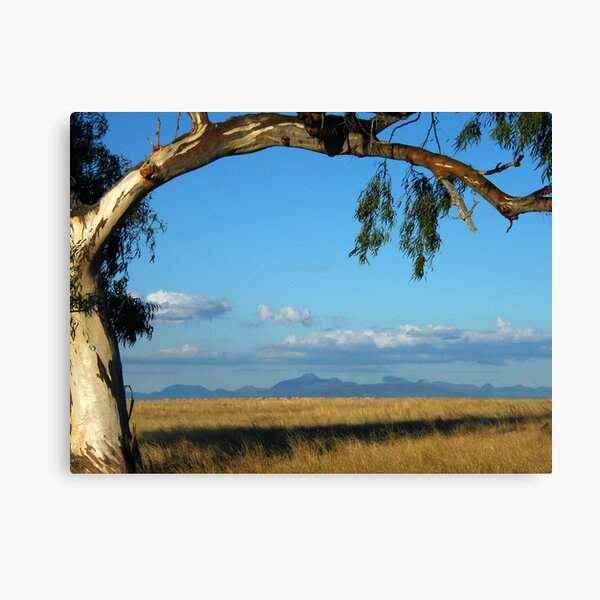 Item preview, Warrumbungles From Wilber  designed and sold by pedroski.
