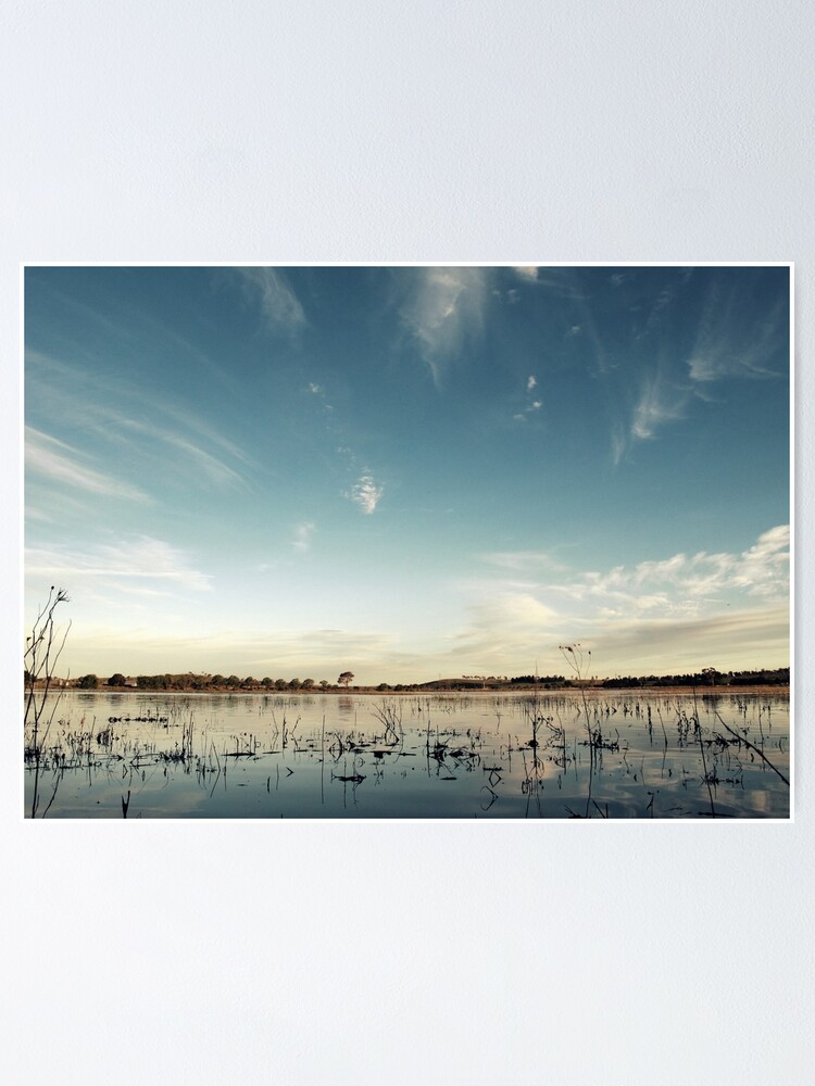 "Seeing is Believing" Poster by Kitsmumma Redbubble