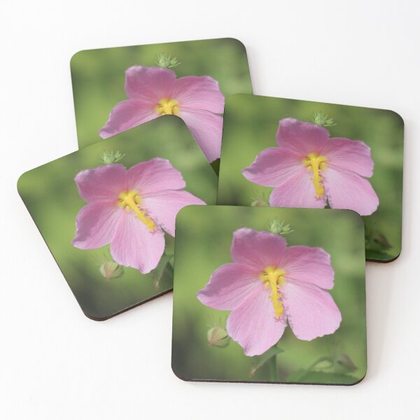 Item preview, Saltmarsh Mallow in Bloom designed and sold by LisaNaturePhoto.