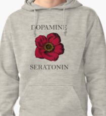 True Love / Chemicals Pullover Hoodie