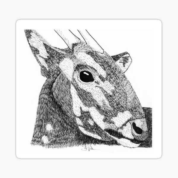 Saola Sticker