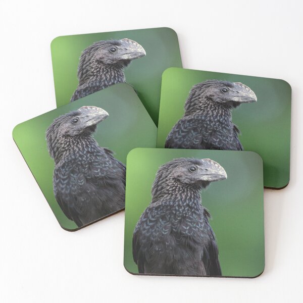 Item preview, Smooth Billed Ani designed and sold by Wes Goorachan.
