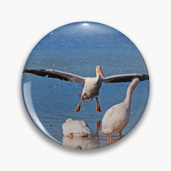 Item preview, Wonderfully Dysfunctional designed and sold by Michiale.