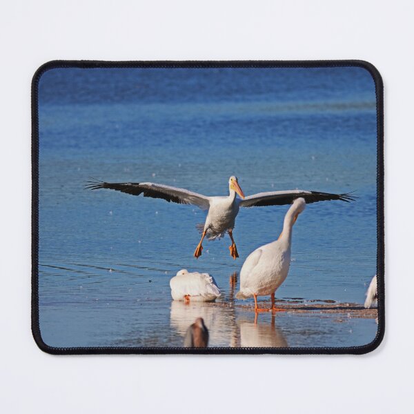 Item preview, Wonderfully Dysfunctional designed and sold by Michiale.