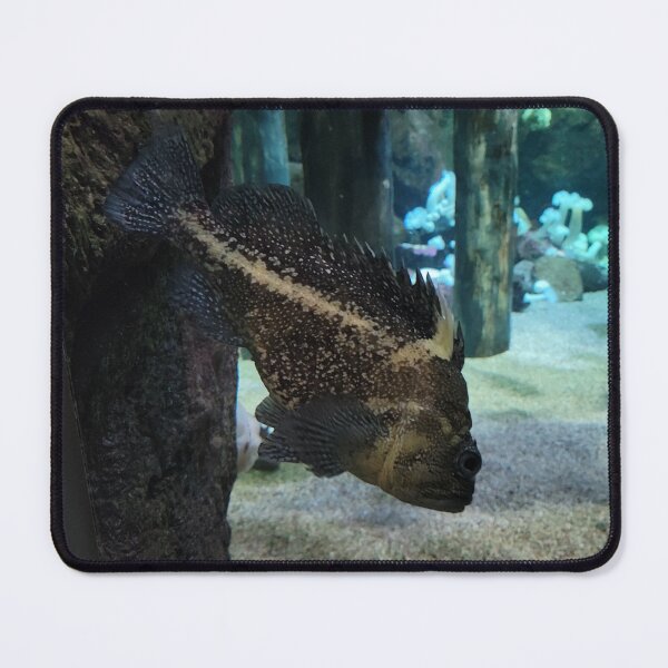 Item preview, Frumpy Fish designed and sold by Djjin66.
