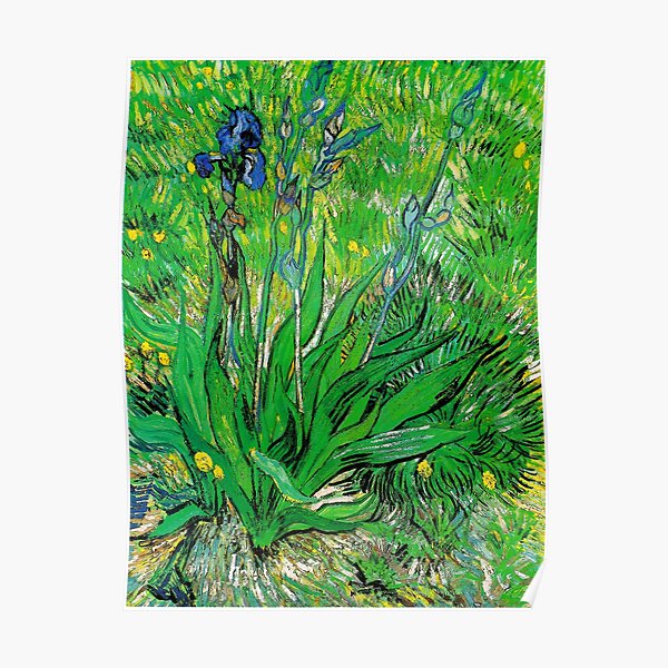 The Iris - Vincent van Gogh Poster
