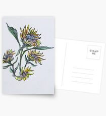Sunflower Crazy Postcards