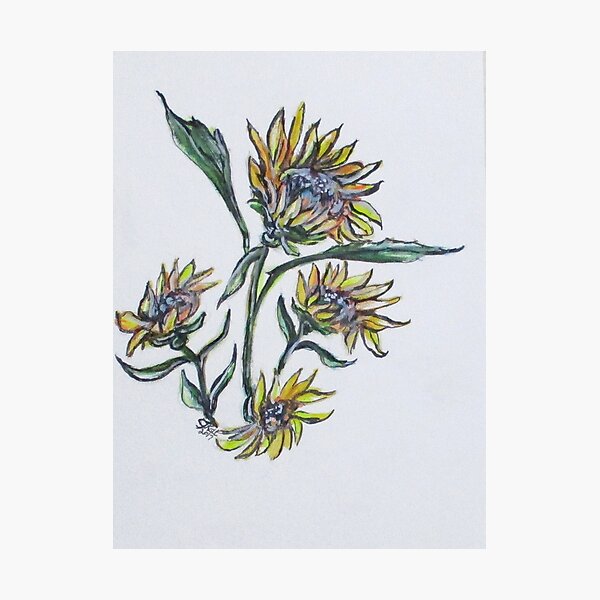 Sunflower Crazy Photographic Print