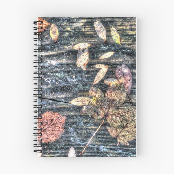 Item preview, Hojas en un banco designed and sold by Ms-Bexy.