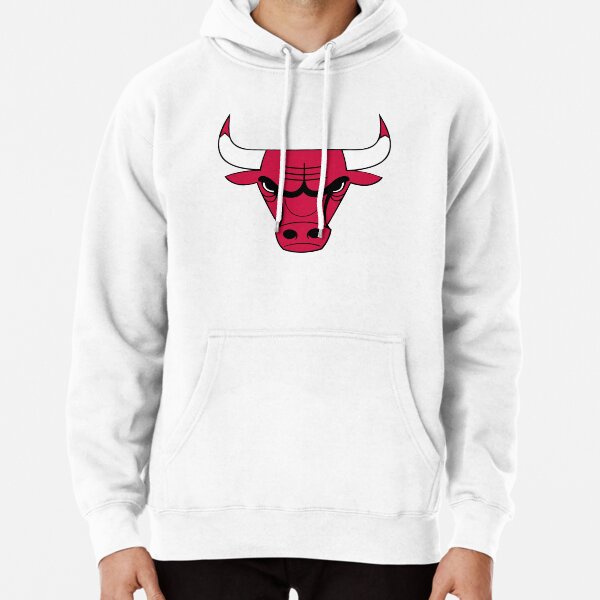 Nike NBA Chicago Bulls City Edition Sweet Home Blue Pullover