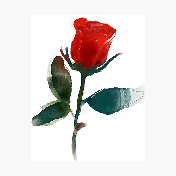 Item preview, The Rose  designed and sold by Phoenixd22.