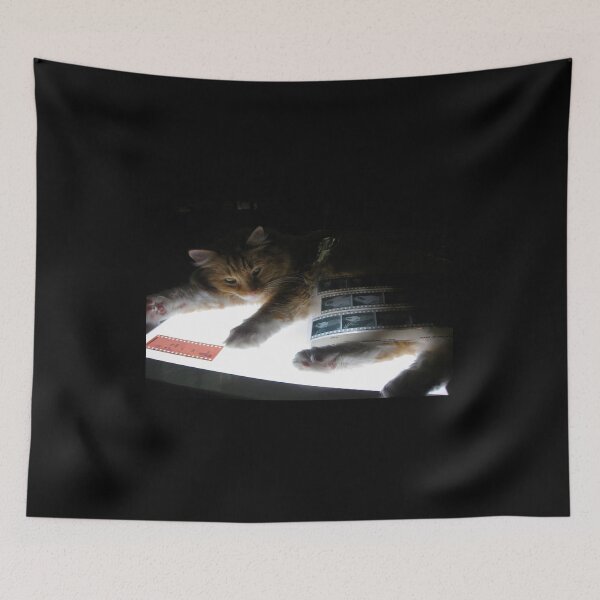 Item preview, The Lightbox, the Cat and the Negatives designed and sold by Jen Waltmon.