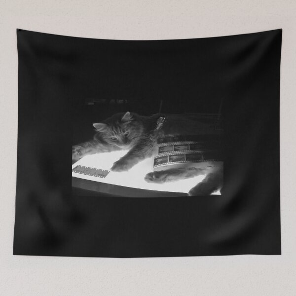 Item preview, The Lightbox, the Cat and the Negatives II designed and sold by Jen Waltmon.