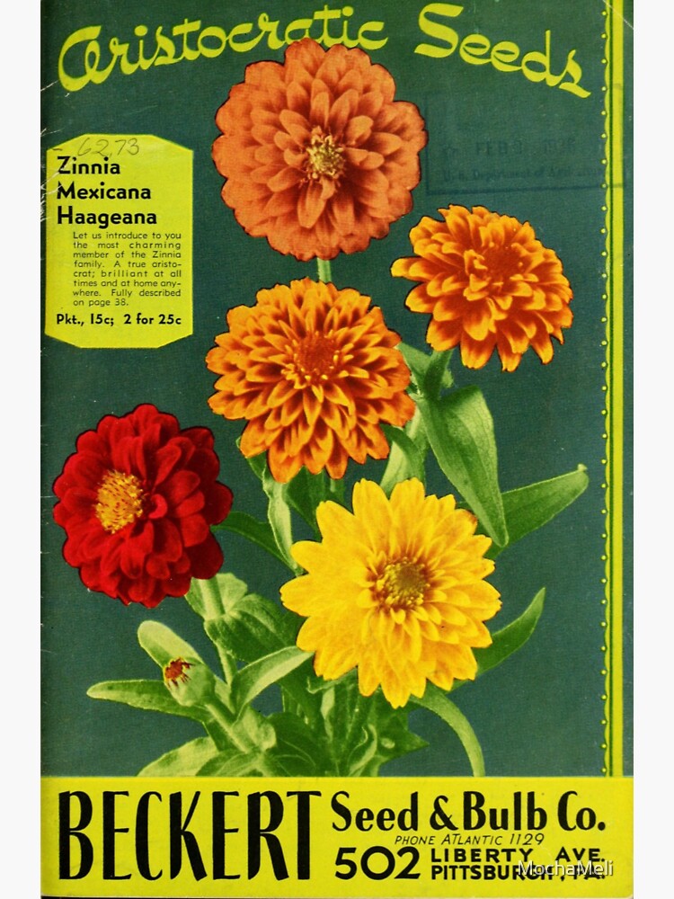 "Vintage Beckert Seed & Bulb Co. Zinnia Packet" Sticker for Sale by