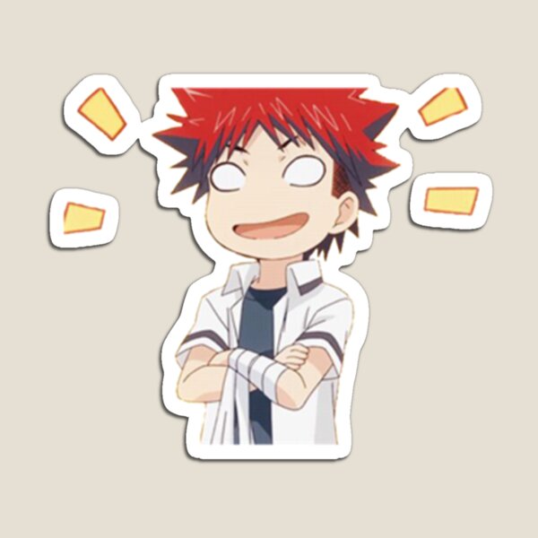 Yukihira Magnets for Sale