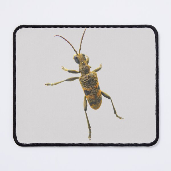 Item preview, Bright Longhorn Beetle designed and sold by RainbowSpinkle.