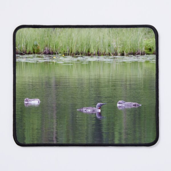 Item preview, Are the kids sleeping. Red-throated loon designed and sold by Jouko Lehto Photography.