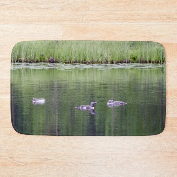Item preview, Are the kids sleeping. Red-throated loon designed and sold by Jouko Lehto Photography.