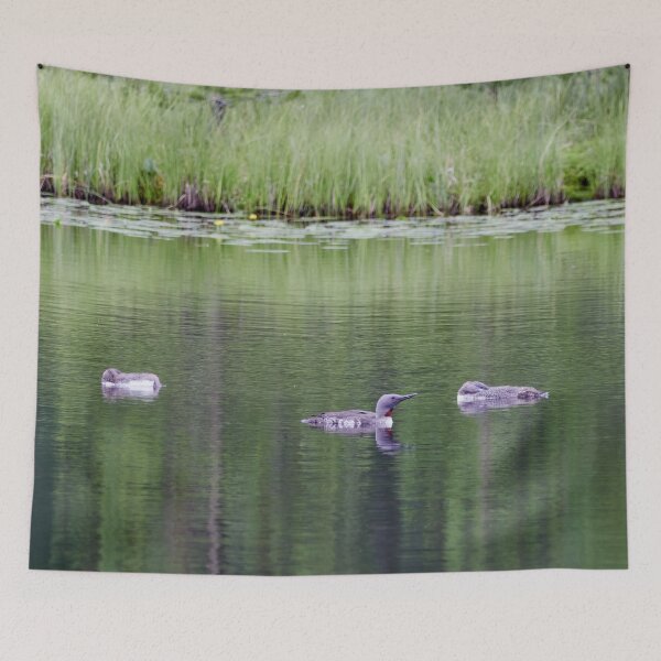 Item preview, Are the kids sleeping. Red-throated loon designed and sold by Jouko Lehto Photography.