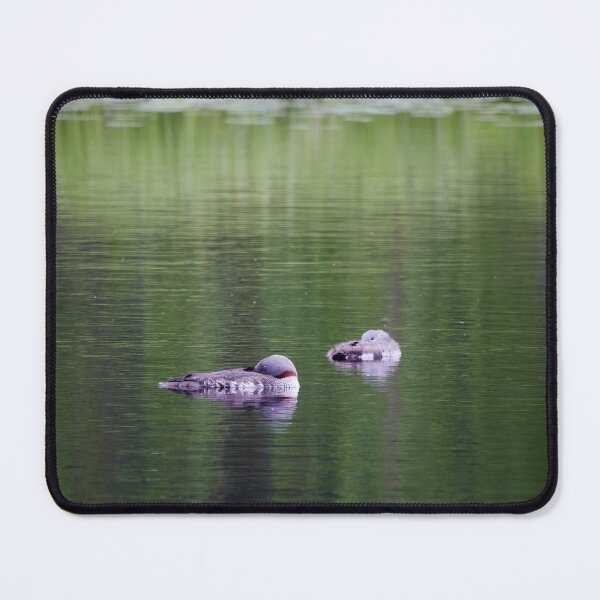 Item preview, Is mama sleeping. Red-throated loon designed and sold by Jouko Lehto Photography.