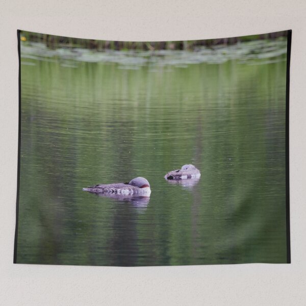 Item preview, Is mama sleeping. Red-throated loon designed and sold by Jouko Lehto Photography.