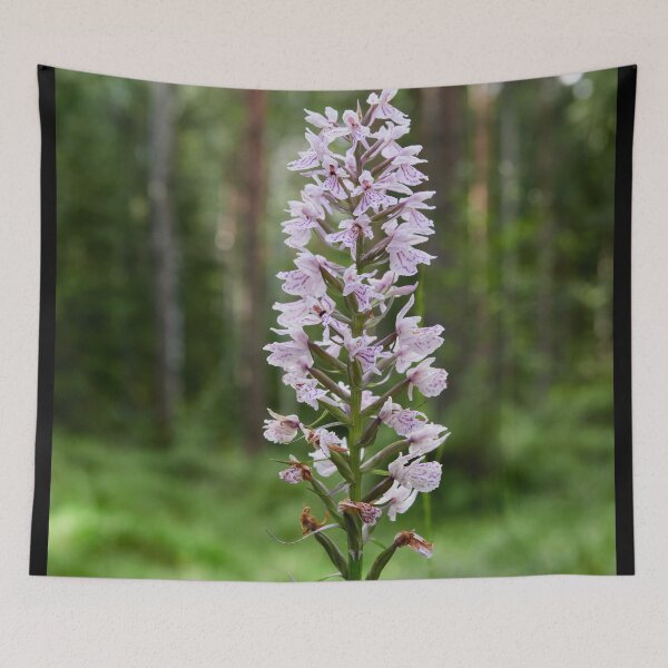 Item preview, Beayty of the moorlands. Moorland spotted orchid designed and sold by Jouko Lehto Photography.