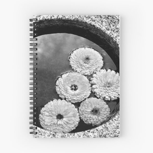 Item preview, Reflections of Calmness & Beauty designed and sold by Jen Waltmon.