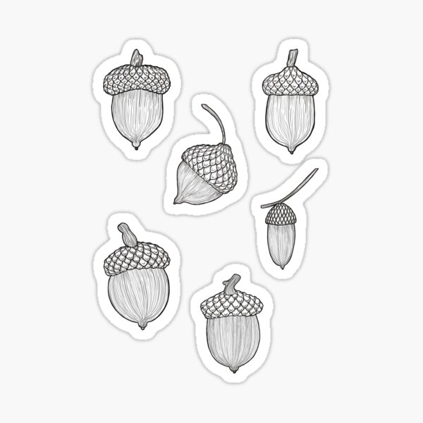 Item preview, Set of 6 acorns designed and sold by Fern-Face.