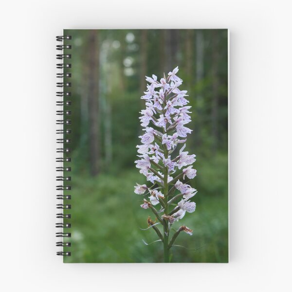 Item preview, Bringing the light to moorlands. Moorland spotted orchid designed and sold by Jouko Lehto Photography.