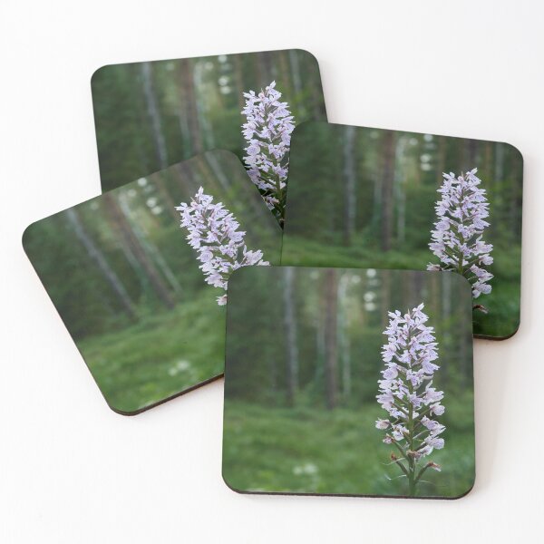 Item preview, Bringing the light to moorlands. Moorland spotted orchid designed and sold by Jouko Lehto Photography.