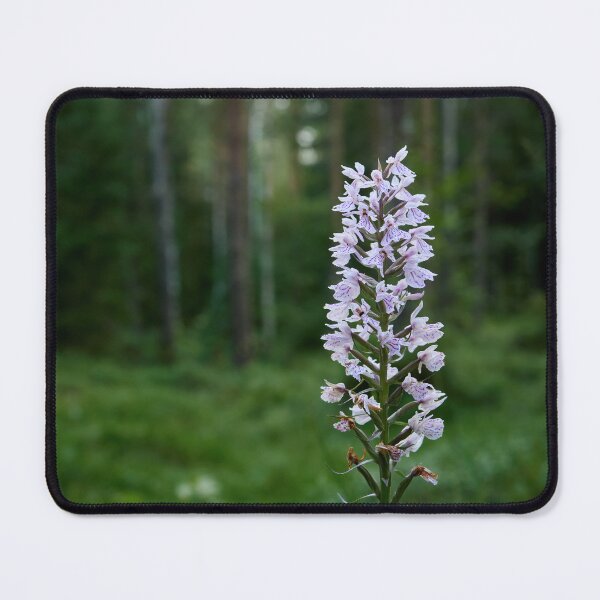 Item preview, Bringing the light to moorlands. Moorland spotted orchid designed and sold by Jouko Lehto Photography.