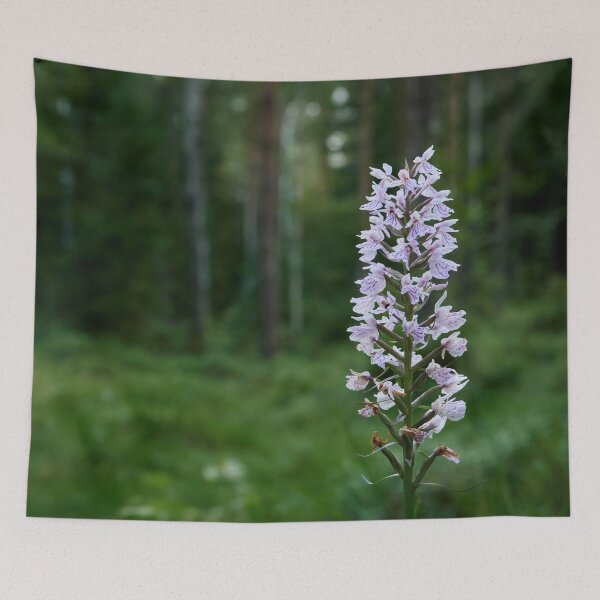 Item preview, Bringing the light to moorlands. Moorland spotted orchid designed and sold by Jouko Lehto Photography.